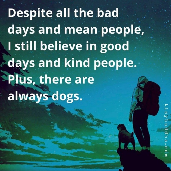 NEW Like This Listing to be Notified of Upcoming Shows Sunday & Thursday 3PM EST - Picture 2 of 4